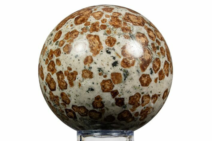 Polished Garnet In Wollastonite Sphere - Namibia #343957